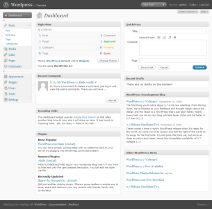 Het Dashboard van Wordpress